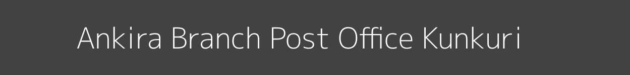 Ankira Post Office Kunkuri Pincode 496245