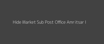 Hide Market Post Office Amritsar - I Pin Code 143001